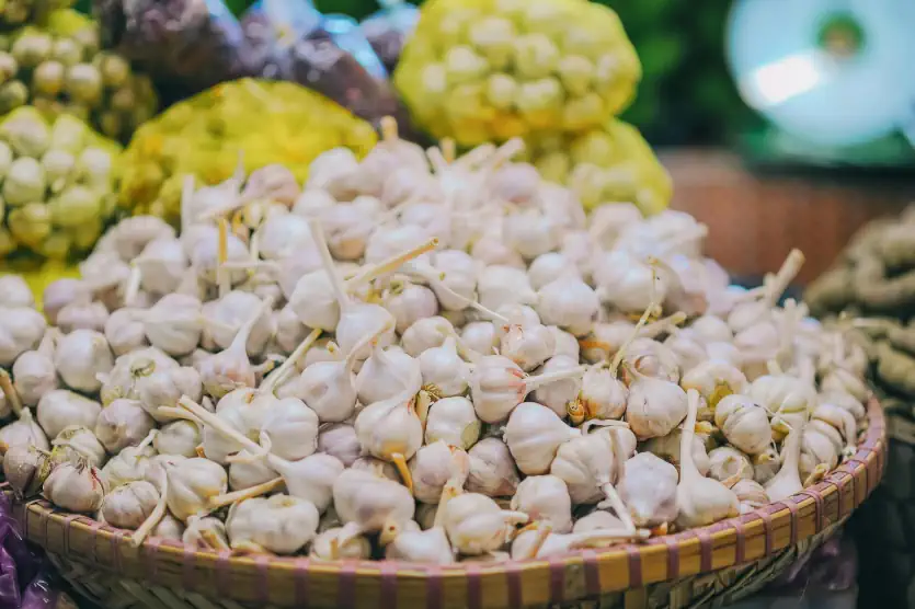 Knoblauch: Eine Wundermedizin