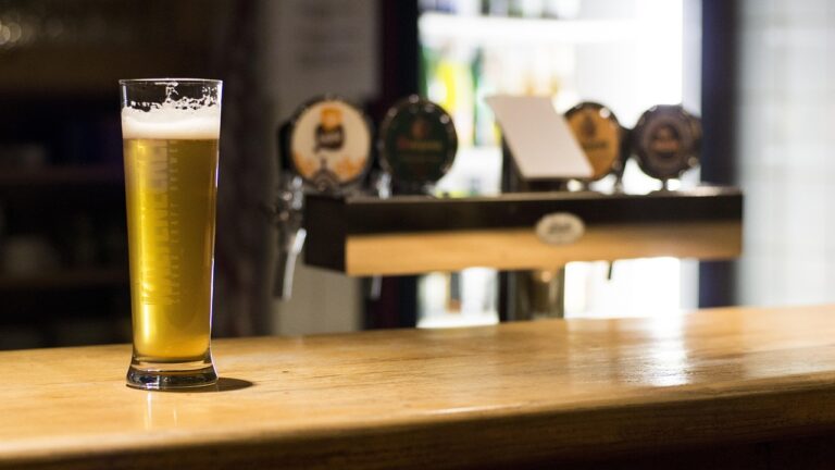 Hygienemängel im Nelson Pub Bern: Strafen und Massnahmen zur Verbesserung
