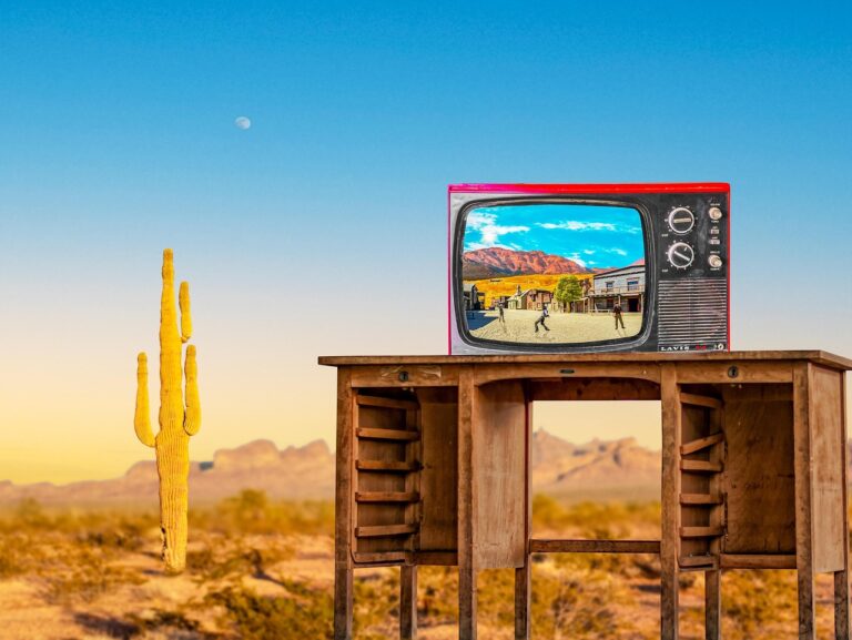 Kostenloses Streaming von TV-Sendern weltweit: Die Web-App TV Garden