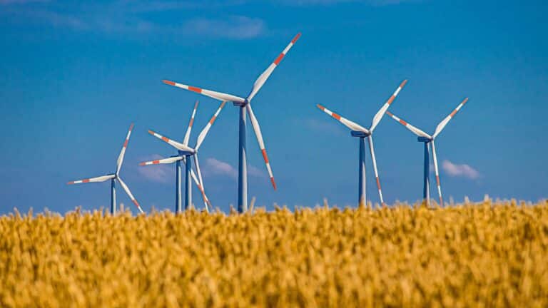 Erneuerbare Energien: Kostensenkungen und Marktveränderungen bis 2025