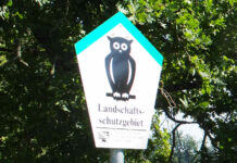 Erster Todesfall durch Zecken-Fleischallergie Erster Todesfall durch Zecken-Fleischallergie