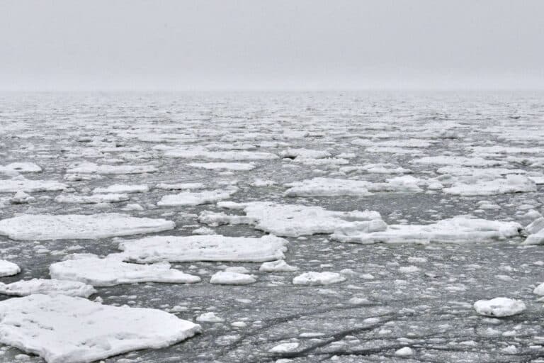 Klimaforschung: Was kosmischer Staub über die Geschichte des Nordpolarmeers enthüllt