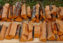 Holzheizung: Erfahrungen und Fakten Holzheizung: Erfahrungen und Fakten